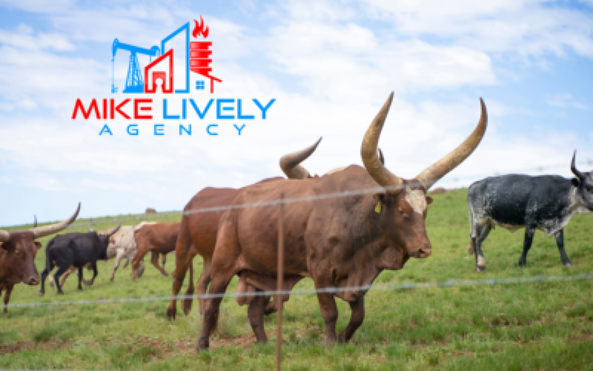 Mike Lively Agency LLC